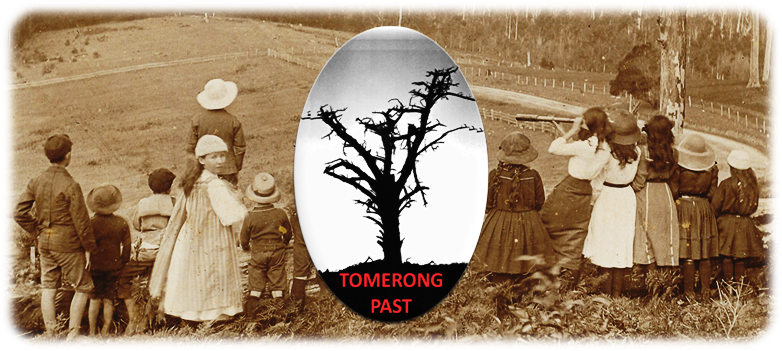 Tomerong Local History