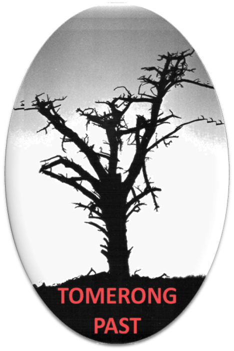 Tomerong Past Icon